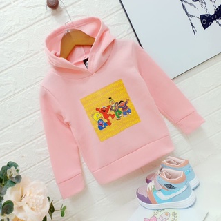 Áo nỉ bông (hoodie)