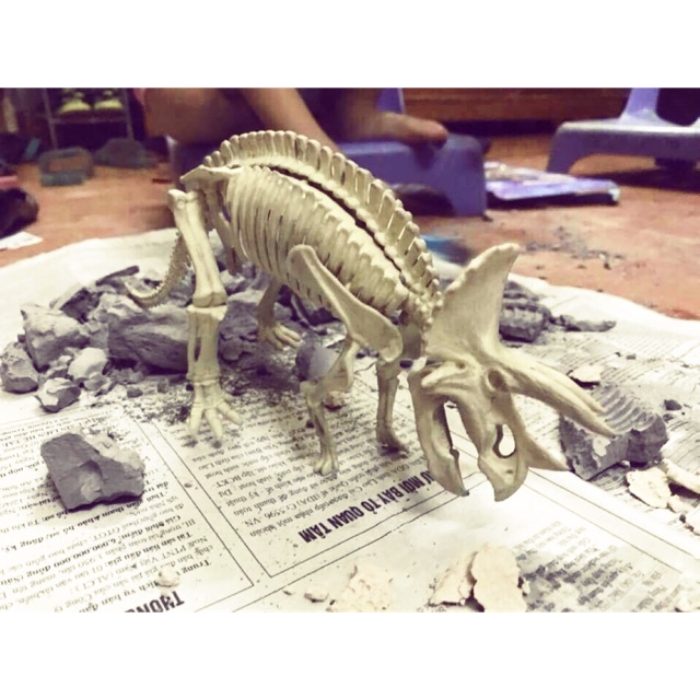 XƯƠNG KHỦNG LONG HOÁ THẠCH - DIG A DINOSAUR SKELETON