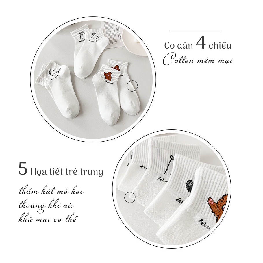 Tất cổ ngắn nữ hình gấu cute set vớ cổ thấp thời trang hàn quốc - Only Store