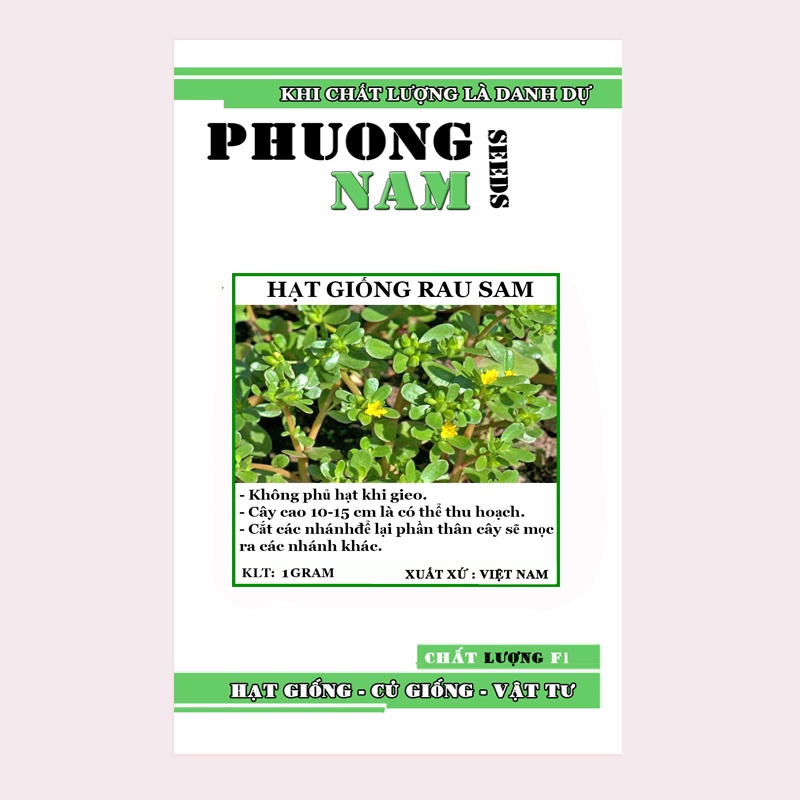 1GR - HẠT GIỐNG RAU SAM