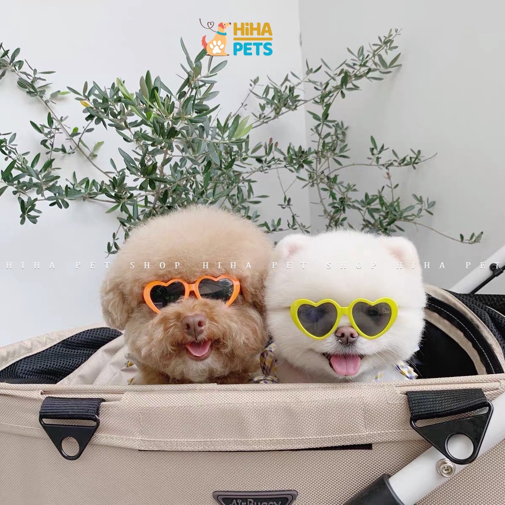 Mắt Kính Cho Chó Mèo Đi Bơi Phụ Kiện Kính Thời Trang Cho Thú Cưng Chụp Ảnh Dễ Thương Sành Điệu Hihapet.