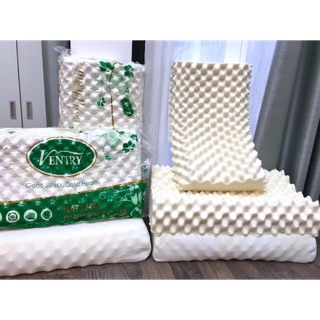 Gối Cao Su Non VENTRY Cao Cấp ( hàng chuẩn có túi đựng )