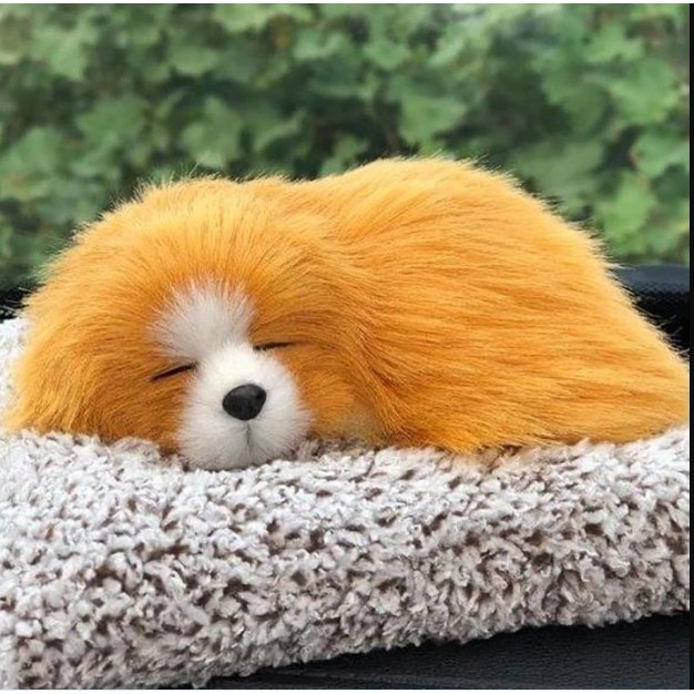 Chó Cảnh Để Taplo Than Tre Hoạt Tính Khử Mùi Nội Thất Ô Tô gia tốt