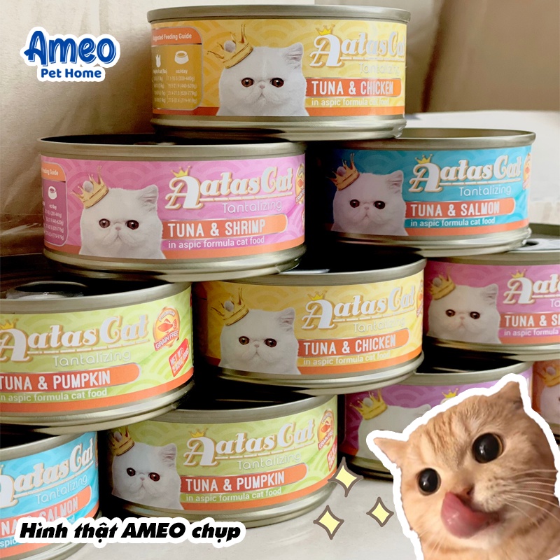 Combo 10 pate King pet tiết kiệm mix vị - Ameo pet home