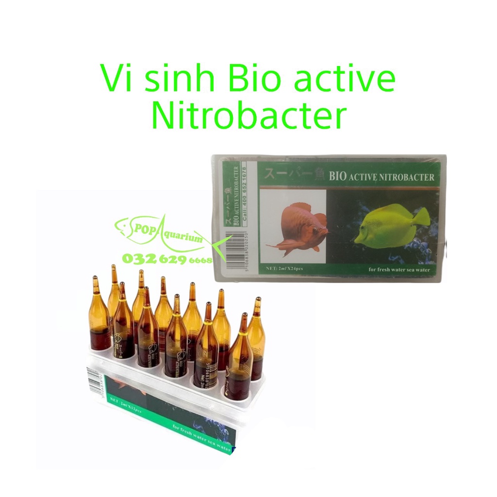 Ống vi sinh Bio Active Nitrobacter