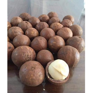 Hạt Macca Úc nứt vỏ - 500gr