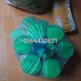 Thịt Chua Tỏi Ớt