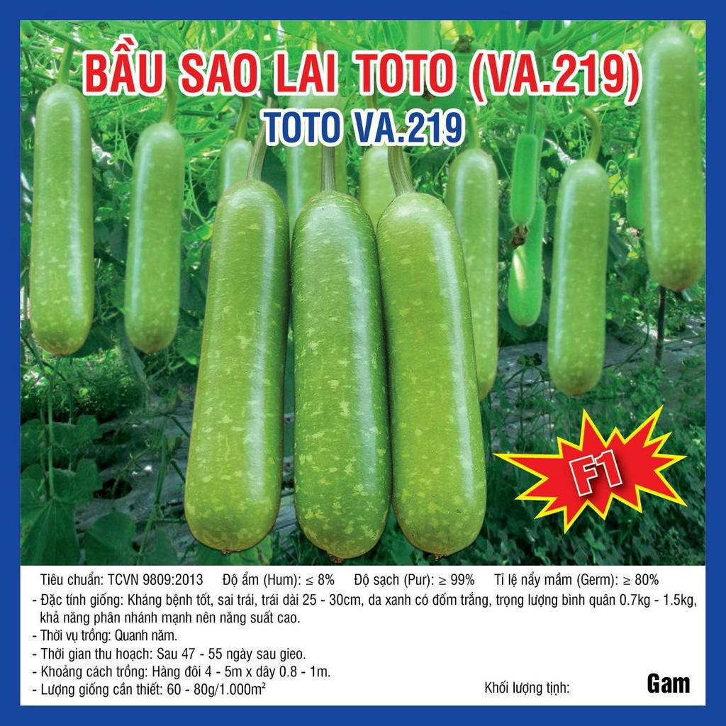 Hạt giống Bầu Sao Lai F1 TOTO (VA.219)