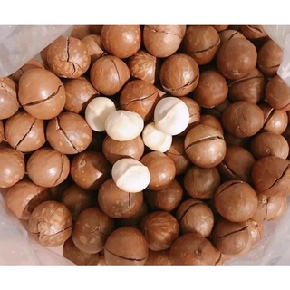 500g hạt macca daklak sấy nứt vỏ