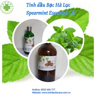 Tinh dầu Bạc Hà Lục Spearmint essential oil giúp thanh lọc không khí, giảm căng thẳng hiệu quả - 50ml