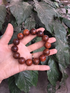 Vòng Tay Gỗ Sưa