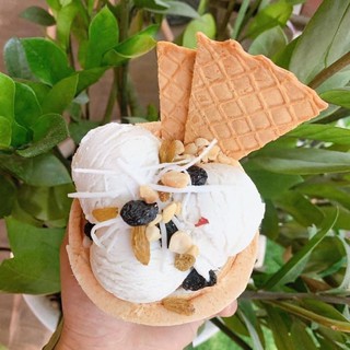 KEM DỪA ĐẤT CÔN ĐẢO