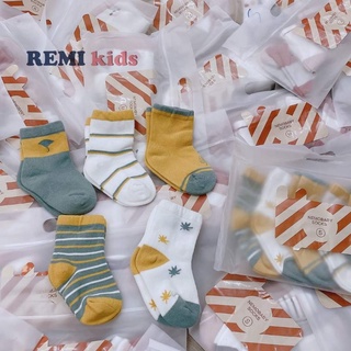 Set 5 đôi tất nỉ Nemo cao cấp