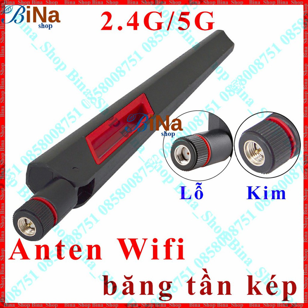 Anten Wifi 10/12dbi băng tần kép 2.4G/5G