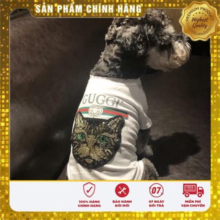 [Gốc] Áo thun Guggi in hình mèo kim sa [Gốc]
