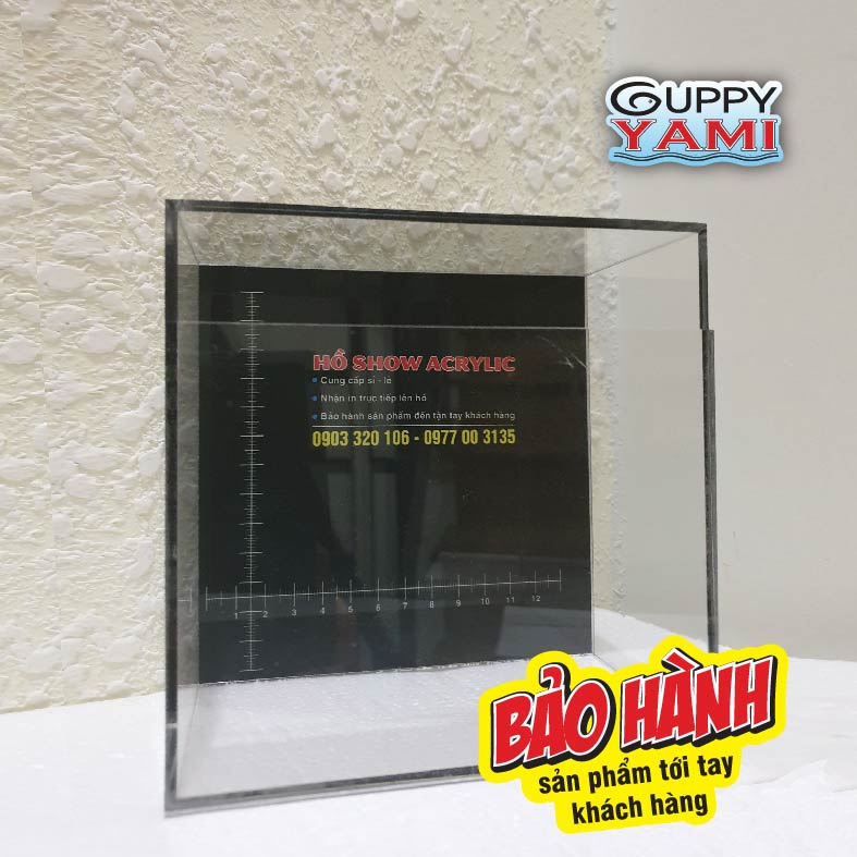 Keo Show cá Guppy mica siêu trong, Hồ Show cá Betta 2:1có thể show nằm & đứng 15x8x15, Bể Show cá Acrylic