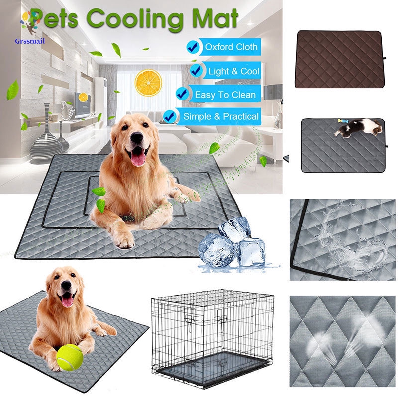 Thảm Làm Mát Cho Thú Cưng
