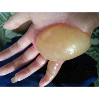 Mỡ Trăn N'store nguyên chất