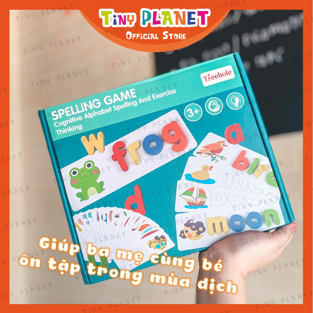 Bộ thẻ 56 từ flashcards kèm chữ cái gỗ dạy bé học từ vựng tiếng Anh Treehole giáo dục sớm Montessori