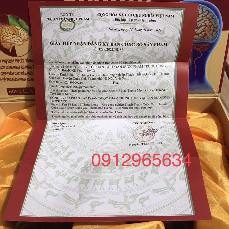 Viên uống bổ não thông mạch hoạt huyết dưỡng não Ginkgo Biloba 600mg hỗ trợ sức khoẻ an toàn 2 lọ x 30 viên