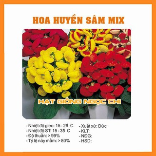 Hạt Giống Hoa Huyền Sâm - 5 Hạt
