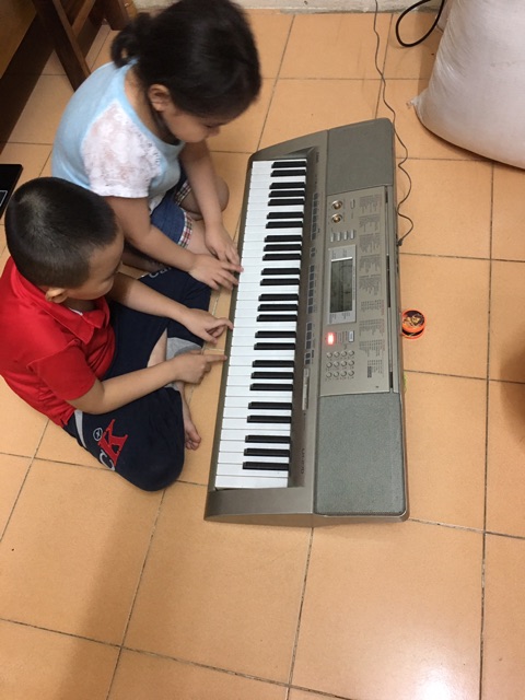 Casio LK 270 đàn organ hiện đại