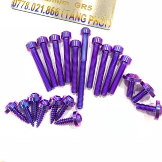 Combo 13 con ốc lốc máy + 7 con ốc bô e cho dòng xe Vario 2018 2019