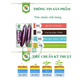 Hạt giống cà tím dài siêu quả