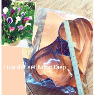 KHUÔN HOA LOA KÈN ( HOA RUM)