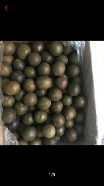 10 quả la hán to 50k