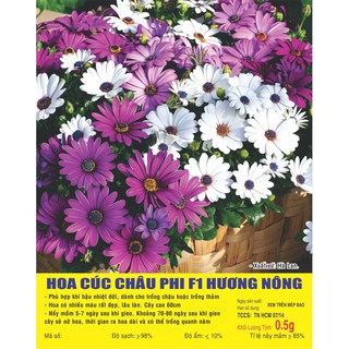 Hạt hoa cúc châu phi f1 - gói 0,5 gram