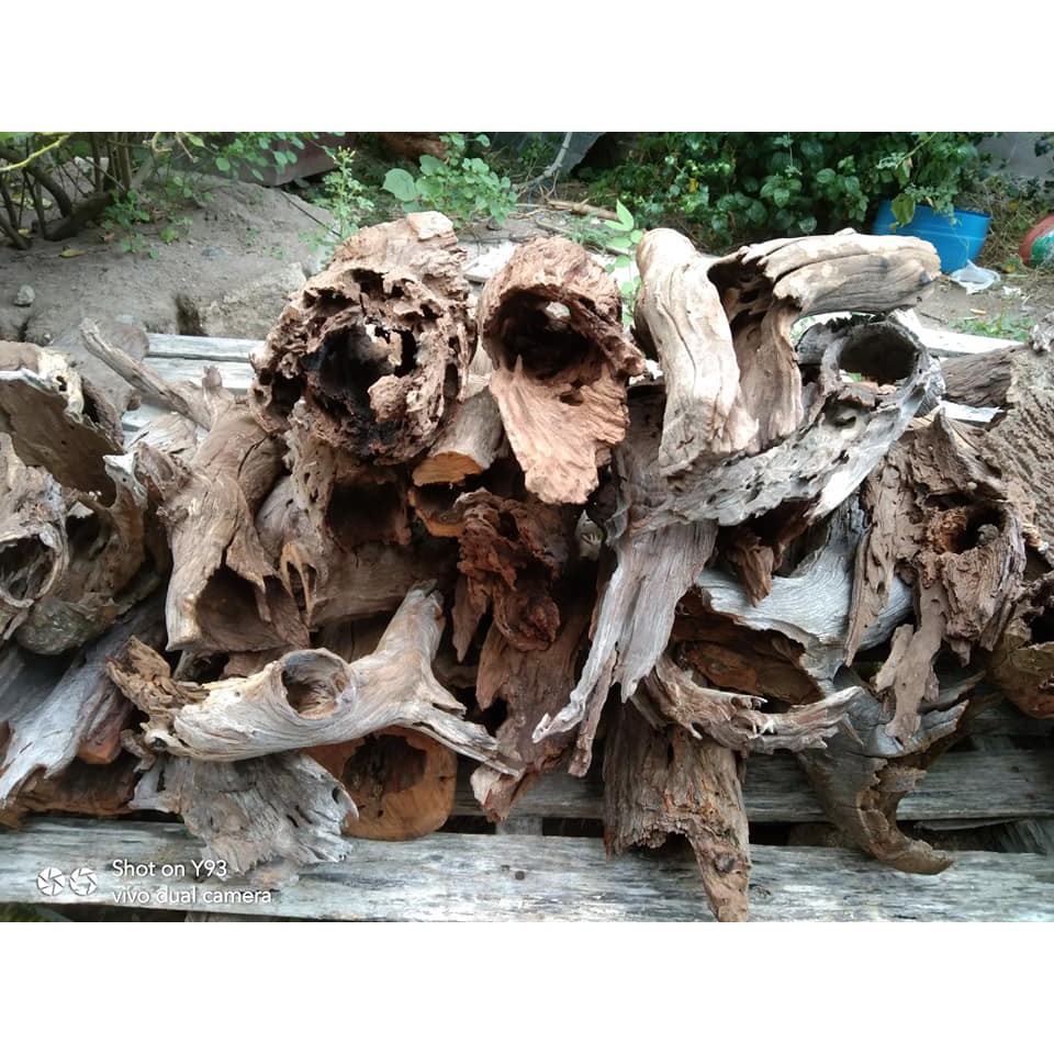 LŨA SAN  ĐÁ ỐNG RỖNG - TRANG TRÍ HỒ CÁ TÉP THỦY SINH