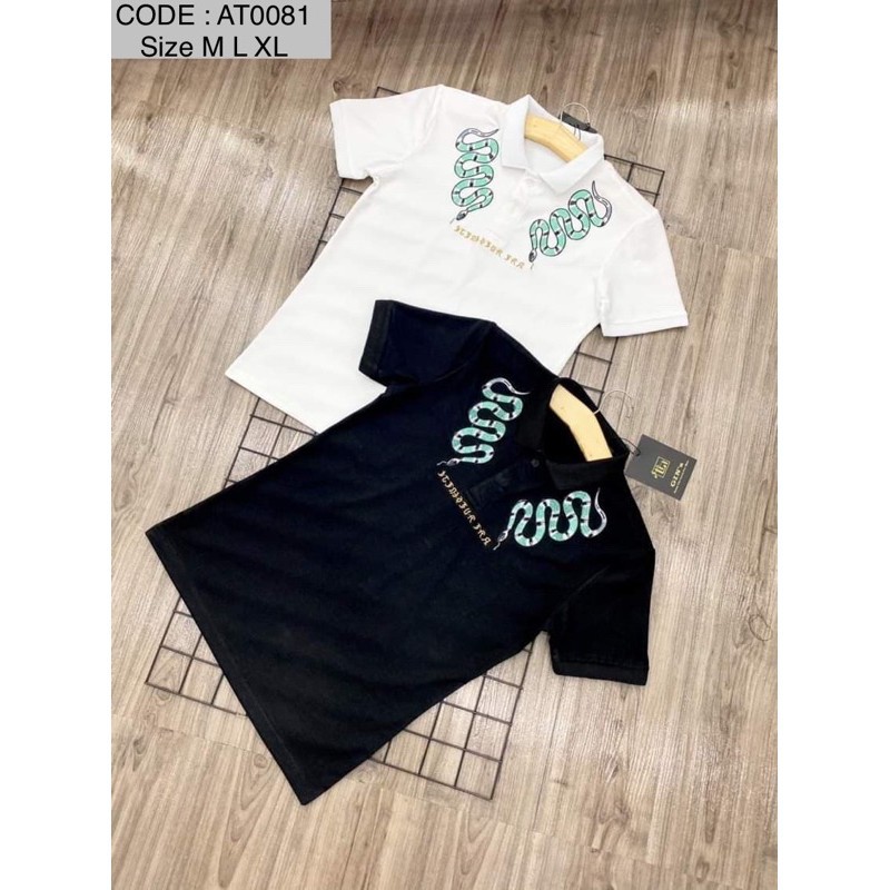 ÁO polo nam AT0081 | BigBuy360 - bigbuy360.vn