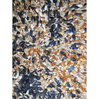 HẠT TRỘN THỨC ĂN CHO CHIM VẸT (50K/1kg)