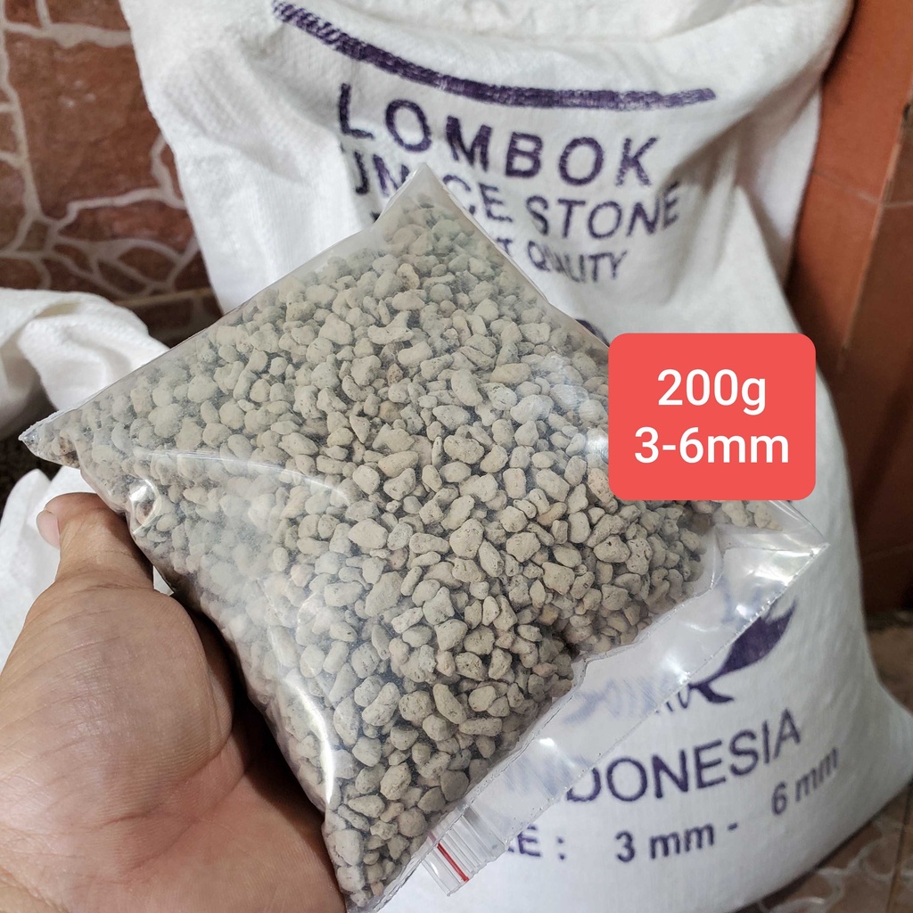 Đá pumice nhập khẩu siêu tốt sen đá và xuong rồng