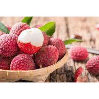 Cây giống Vải Thiều Lục Ngạn. [Siêu sớm].