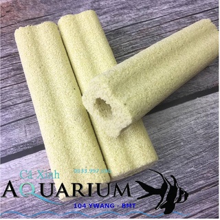 10 cây sứ lớn lọc nước hồ cá