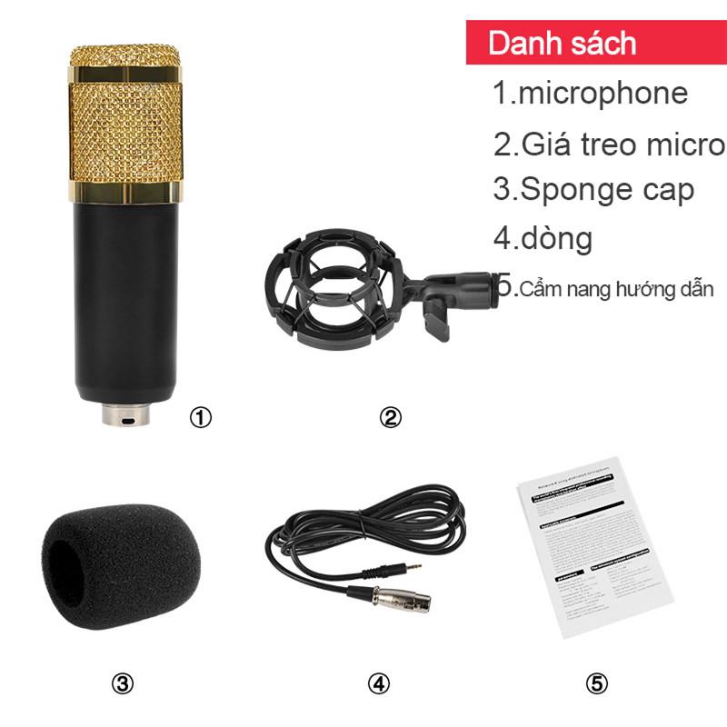 Micro thu âm chuyên nghiệp - (Micro live stream,karaoke online cực hay) Mạng karaoke tụ micro thu âm karaoke [HTBM800]