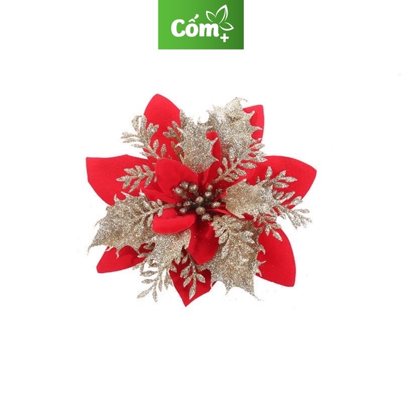 Sỉ Bông hoa trạng nguyên Trang trí noel,,làm oản,trang trí