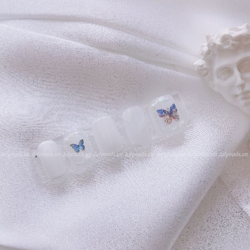 Nailbox thiết kế màu trắng hoạ tiết butterfly