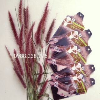 (Nâu đen) Nhuộm tóc phủ bạc Pyeonan Hàn Quốc