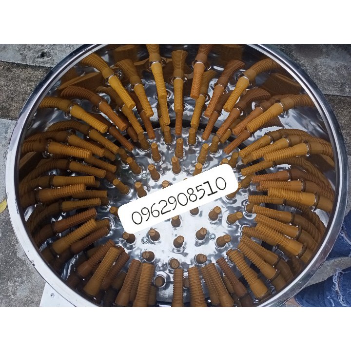 Combo 50 cao su vặt lông gà