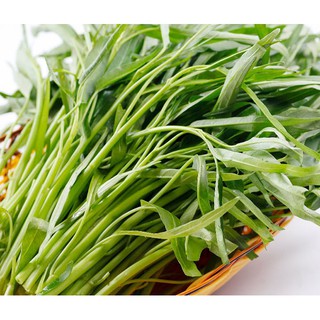 Hạt giống rau muống gói 100g