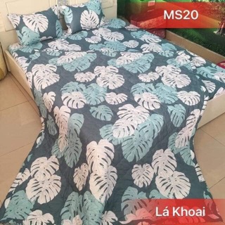 Combo bộ 5 món chăn hè mẫu lá khoai 1,6x2m