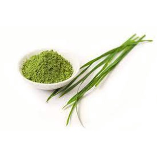 Bột mầm lúa mạch non Grass Barley Nhật Bản