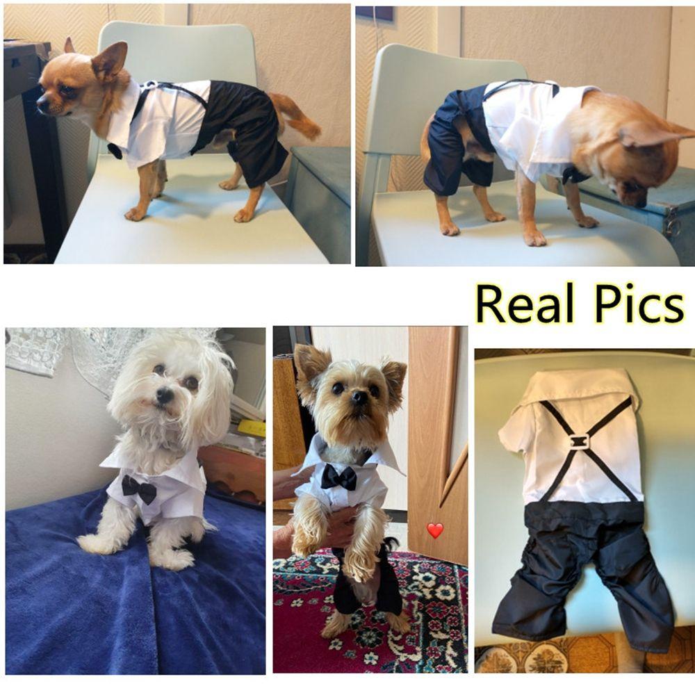 Trang Phục Tuxedo Đen Thắt Nơ Thanh Lịch Cho Cún Cưng