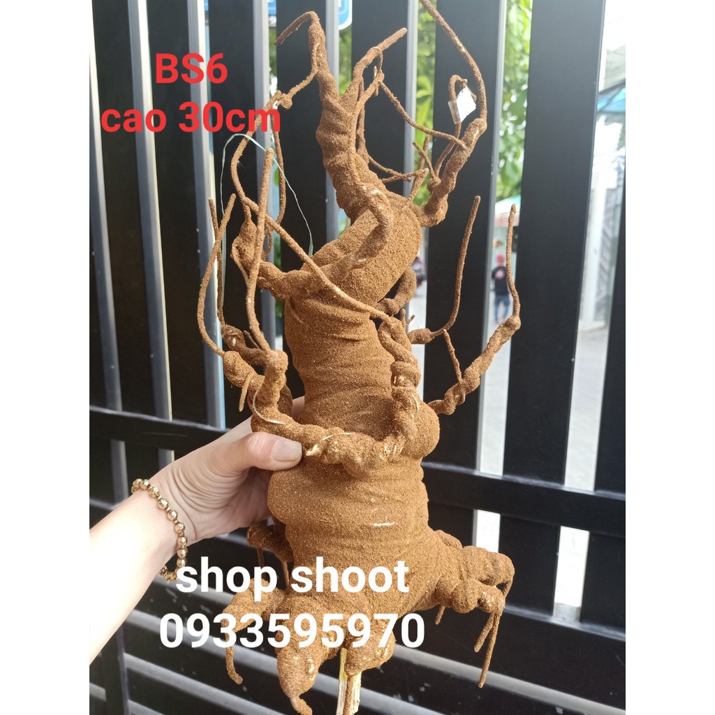 GỐC BONSAI BS6( CAO 35CM) LÀM THÂN MAI ĐÀO