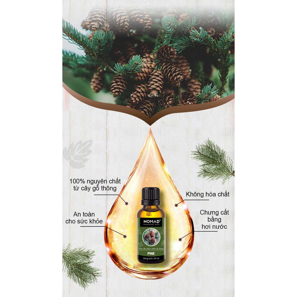 Tinh Dầu Thiên Nhiên Hương Gỗ Thông Nomad Essential Oils Pine