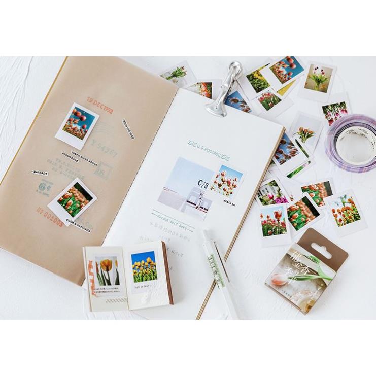 Bộ 46 Sticker Hoa Tulip Hà Lan E57