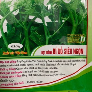 Hạt giống bí đỏ siêu ngọn 20g dễ trồng ăn ngon